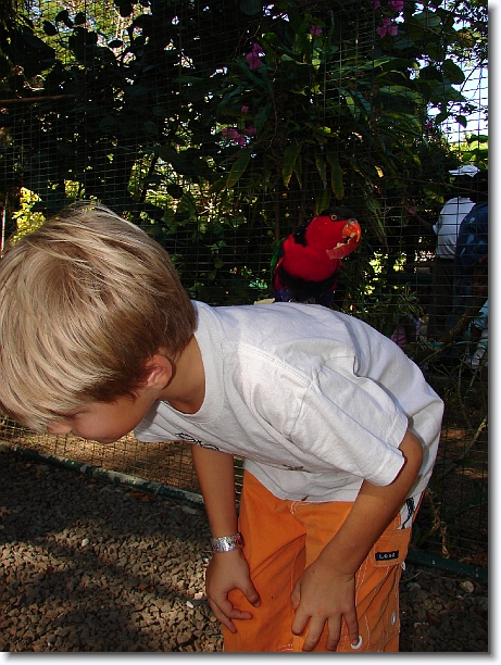 Click for the original image